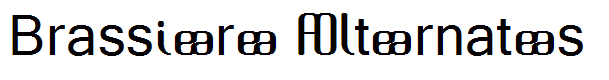Brassiere Alternates