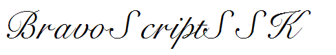 BravoScriptSSK