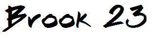 Brook 23