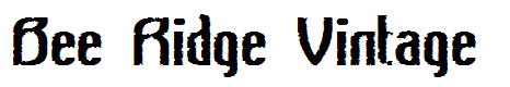 Bee Ridge Vintage