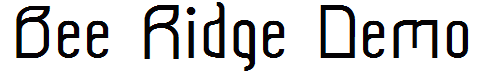 Bee Ridge Demo