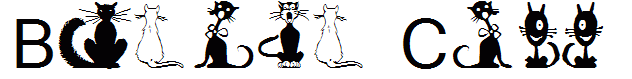Border Cats