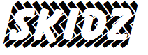 Skidz