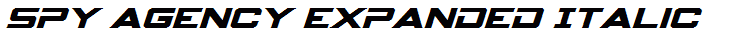 Spy Agency Expanded Italic