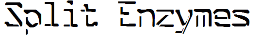 Split Enzymes
