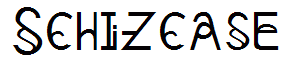 Schizcase