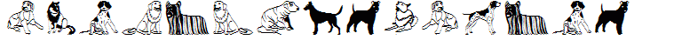 HundeDogsChiens