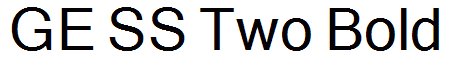 GE SS Two Bold