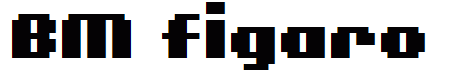 BM figaro