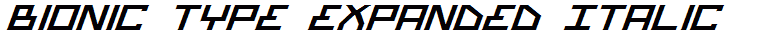 Bionic Type Expanded Italic