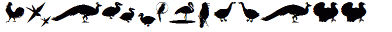 BirdsOThree