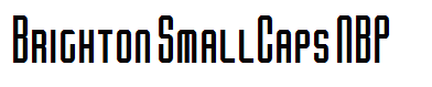 Brighton SmallCaps NBP