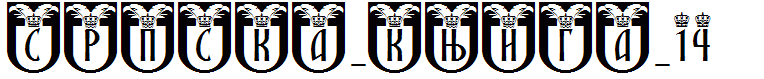 SRPSKA_KNIGA_14