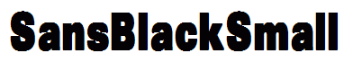 SansBlackSmall