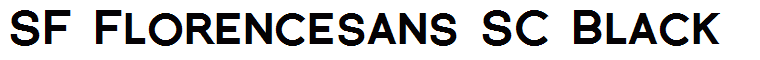 SF Florencesans SC Black