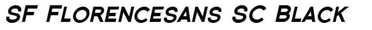 SF Florencesans SC Black