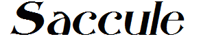 Saccule