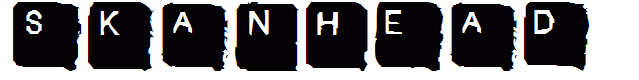 SkanHead