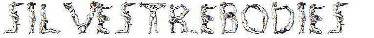 SilvestreBodies