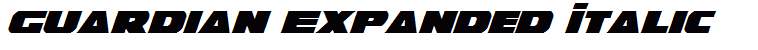 Guardian Expanded Italic
