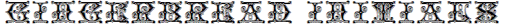 Gingerbread Initials