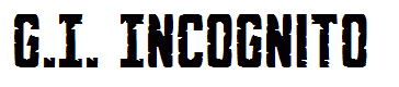 G.I. Incognito