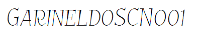 GarineldoSCNo01