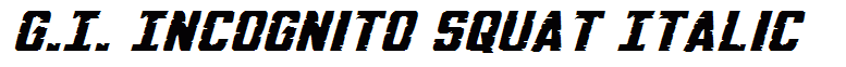 G.I. Incognito Squat Italic