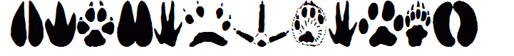 AnimalTracks