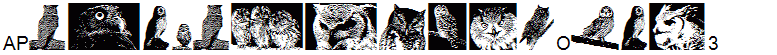 AParliamentofOwls3
