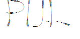 PIJL