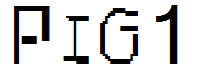 PIG1