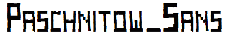 Paschnitow_Sans