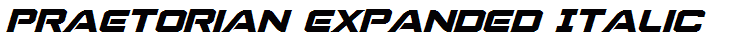 Praetorian Expanded Italic