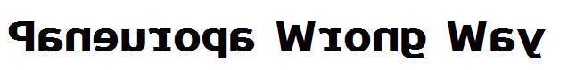 Paneuropa Wrong Way