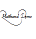 Platthand Demo