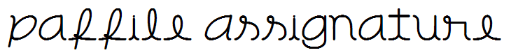 PaFFile Assignature