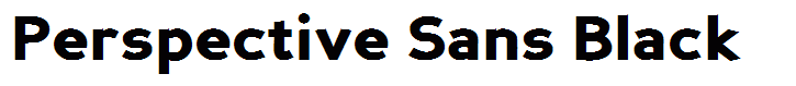 Perspective Sans Black