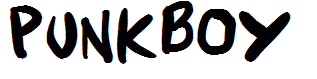 Punkboy