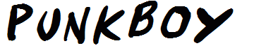Punkboy