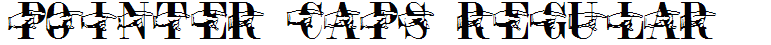 POINTER CAPS REGULAR