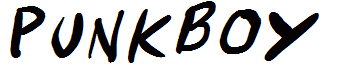 Punkboy