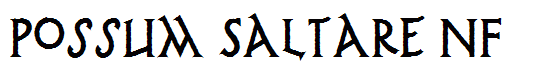 Possum Saltare NF