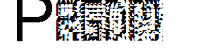 Prgdmg