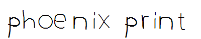 phoenix print