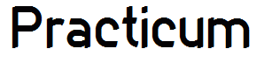 Practicum