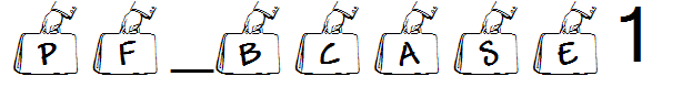 pf_bcase1
