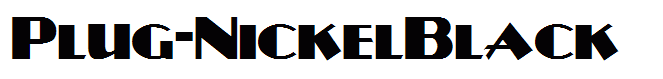 Plug-NickelBlack