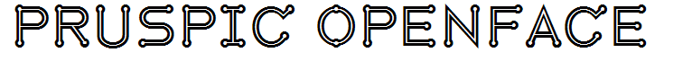 Pruspic Openface