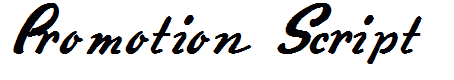 Promotion Script